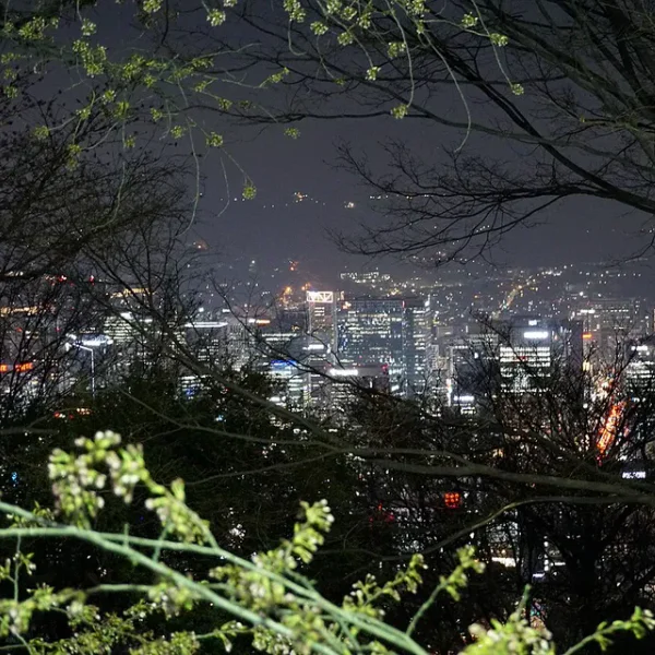 웰니스 리브웰빙 테라피 대표 안내 이미지