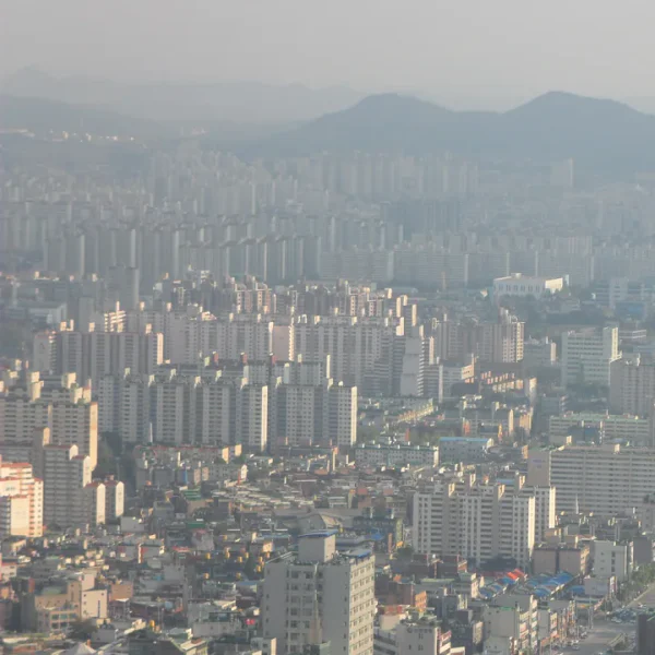 스테이 레드존포레스트 테라피 대표 안내 이미지