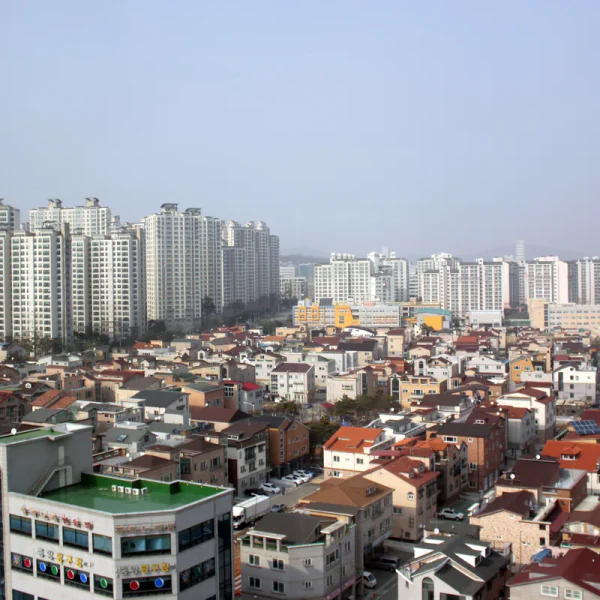 아로마 사나웰빙 테라피 대표 안내 이미지