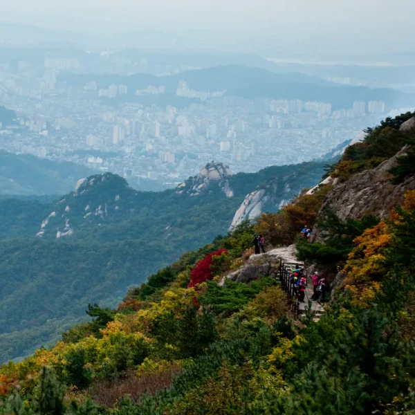 블랑 블루밍센터 마사지 대표 안내 이미지